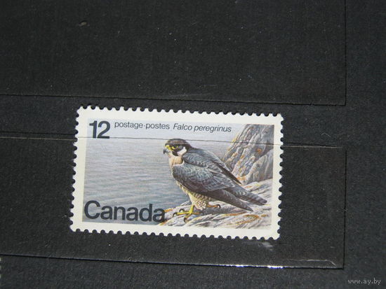 Марка - Канада фауна птицы хищники