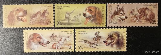 Охотничьи собаки (СССР 1988) чист