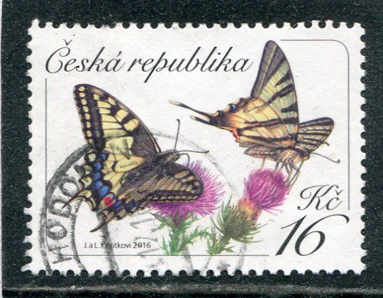 Чехия. Фауна. Бабочки