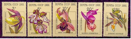 1991г. СССР 6315-9, Орхидеи, Флора цветы  5м