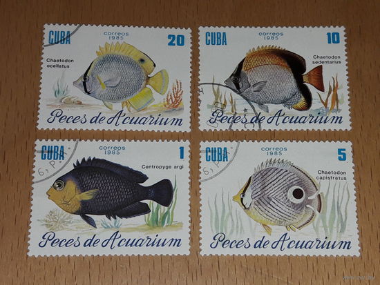 Куба 1985 Фауна Рыбы 4 марки