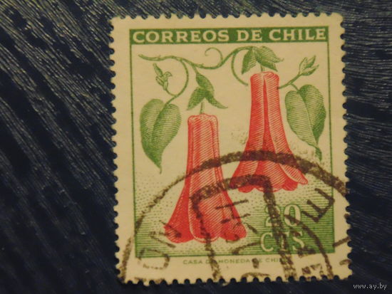 Чили 1965 г. Флора.