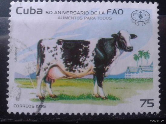 Куба 1995 Корова, одиночка