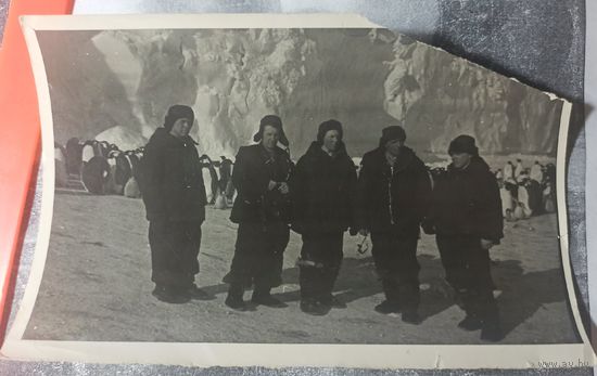 Антарктида. Экспедиция в Антарктику. Восток. Мирный. Южный полюс. Фотография. Фото СССР