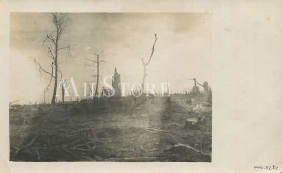Фото с пейзажем Первой мировой войны