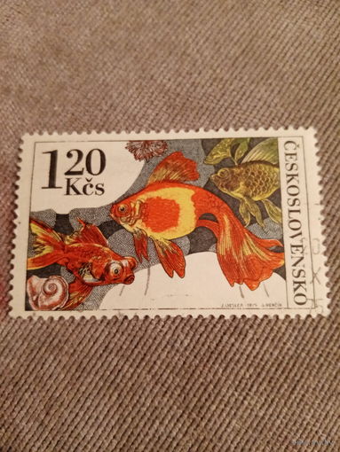 Чехословакия 1975. Золотая рыбка