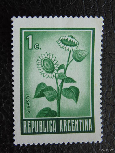 Аргентина. Флора.