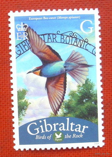 Гибралтар. Птица. ( 1 марка ) 2008 года. 5-17.