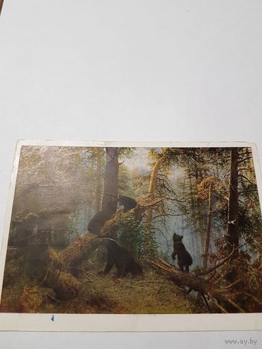 Открытка-почтовая карточка ,,Утро в сосновом лесу'' 1946 г.