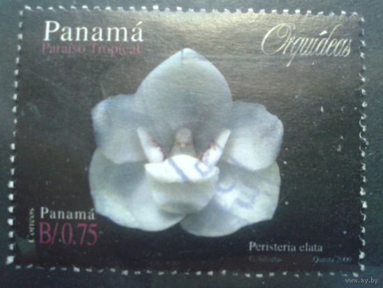 Панама 2000 Орхидея, марка из блока Михель-3,6 евро гаш