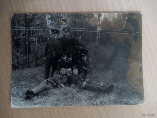 Фотография. Солдаты Советской Армии и собака.