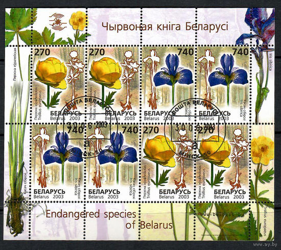 Редкие виды цветов, занесенные в Красную книгу Беларуси (507-508МЛ)