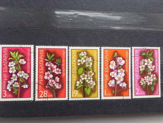 Болгария. Цветы (серия из 5 марок)