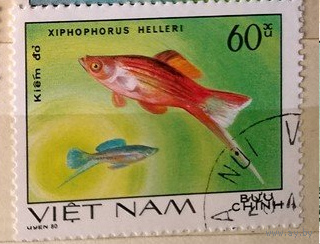 Вьетнам 1980 г. Аквариумные рыбки. Фауна,