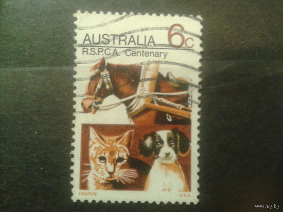Австралия 1971 Домашние животные