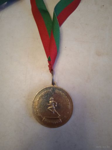 Медаль чемпион области могилев