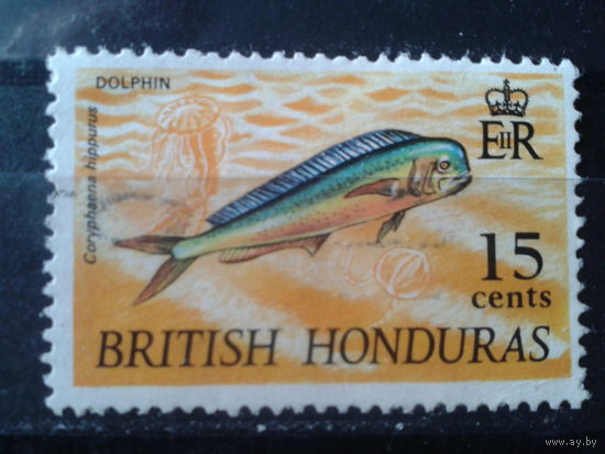 Британский Гондурас 1968 Медуза, рыба* 15с Михель-1,5 евро
