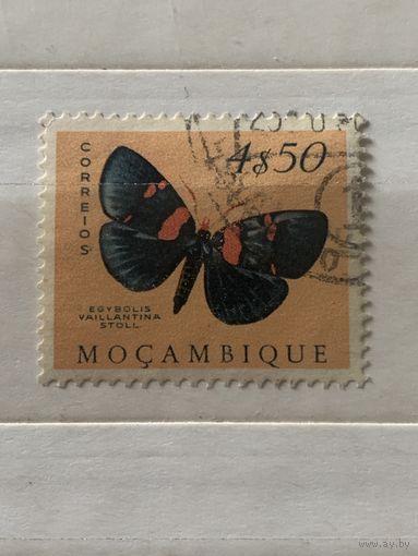 Мозамбик. Фауна. Бабочки