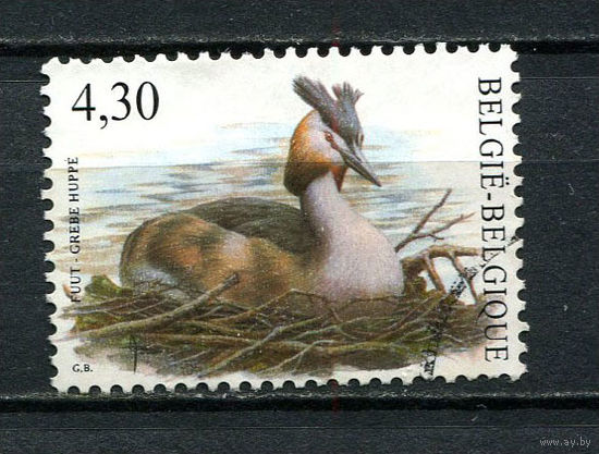 Бельгия - 2006 - Птица - [Mi. 3586] - полная серия - 1 марка. Гашеная.  (Лот 10EB)-T7P3