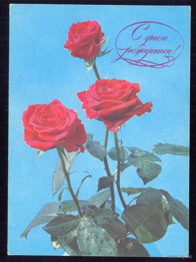 ДМПК СССР 1978 С днём рождения розы