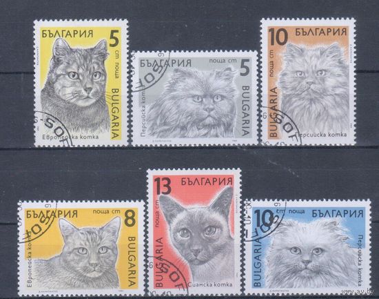 [387] Болгария 1989. Фауна.Кошки. Гашеная серия.