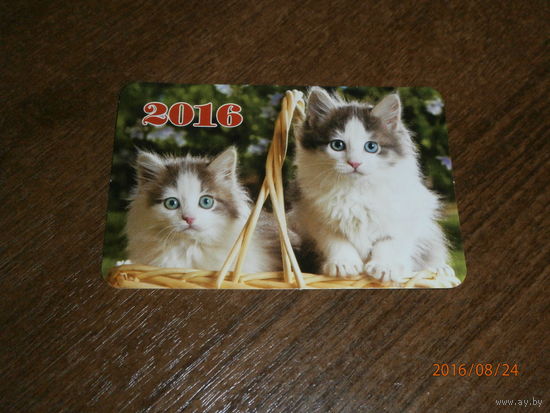 Календарик с котами, 2016 год