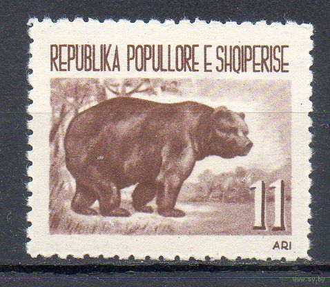 Дикие животные Медведь Албания 1961 год 1 марка