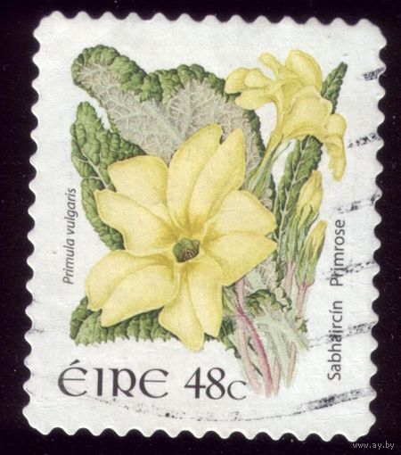 1 марка 2004 год Ирландия Флора 1605