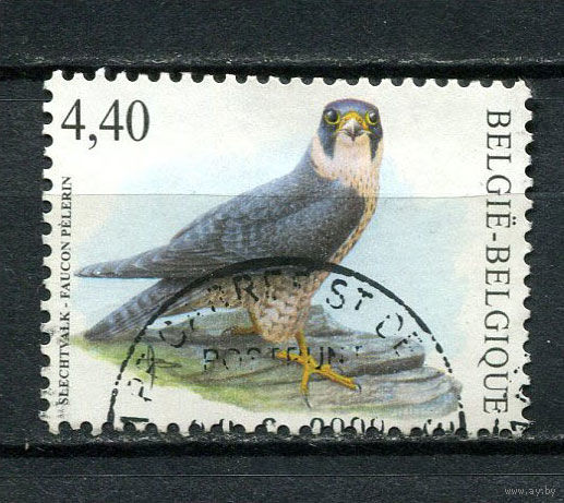 Бельгия - 2008 - Птица - [Mi.3798] - 1 марка. Гашеная.  (Лот 11EB)-T7P3