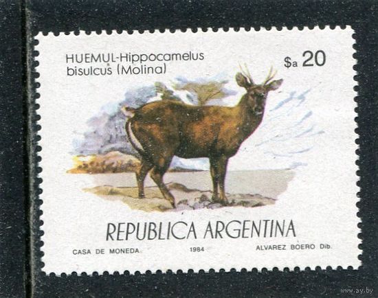 Аргентина. Южноандский олень