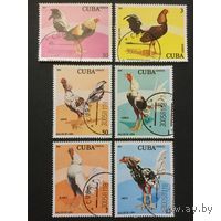 Марки Куба 1981. Фауна Петухи. Серия из 6 марок.