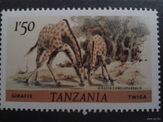 Танзания 1980 жираф