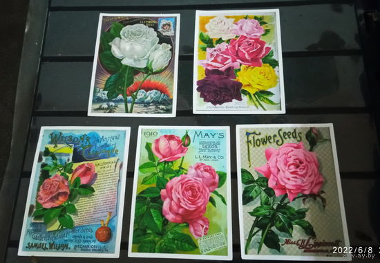 5 Наклеек ВИНТАЖНЫЕ РОЗЫ цветы картины искусство  водостойкие многоразовые  ПВХ