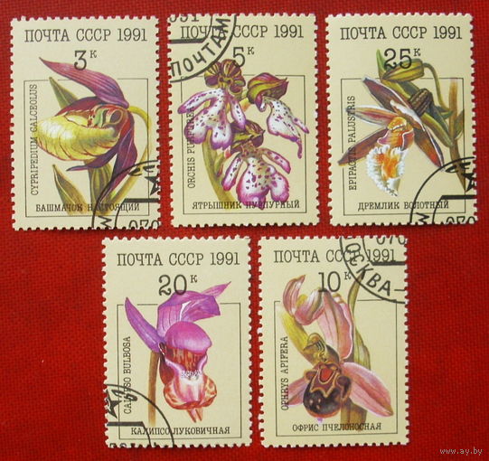 СССР. Орхидеи. ( 5 марок ) 1991 года. 2-3.