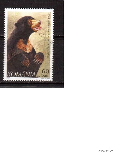 Румыния-2008,(Мих.6284) ,  гаш.,  Фауна, Медведь