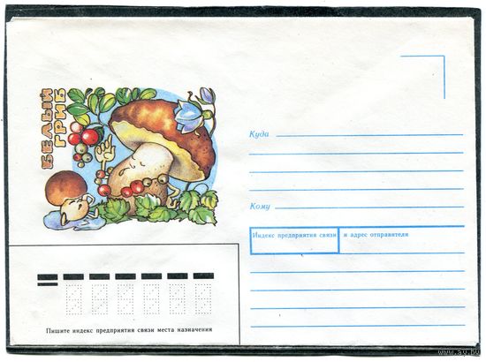 СССР 1991. Немаркированный конверт. Белый гриб