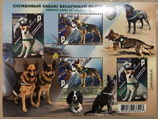 2021 Служебные собаки Белорусской таможни