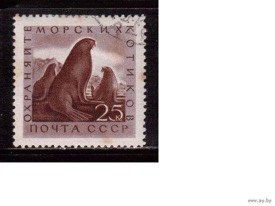 СССР-1960, (Заг.2383), гаш., Морская фауна