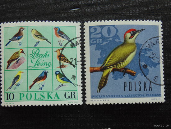 Польша 1966 год. Птицы.