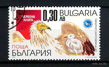 2001 Болгария. Обыкновенный стервятник
