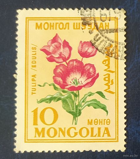 Монголия 1960 цветы тюльпан 1 из 8.