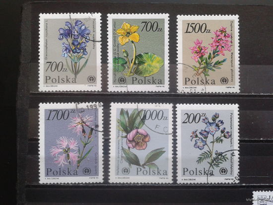 Польша, 1990, Цветы, полная серия