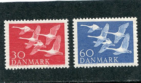 Дания. Лебедь-крикун