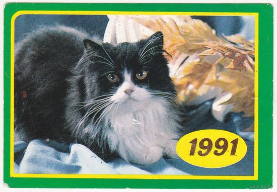 Календарик 1991 (169)