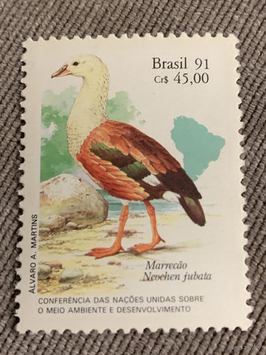 Бразилия 1991. Птицы. Марка из серии