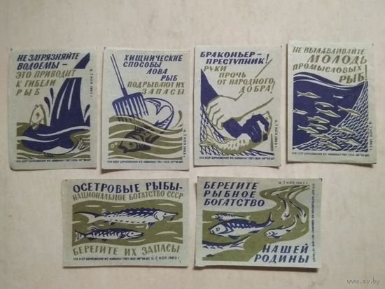Спичечные этикетки ф.Борисов. Рыбоохрана . 1963 год