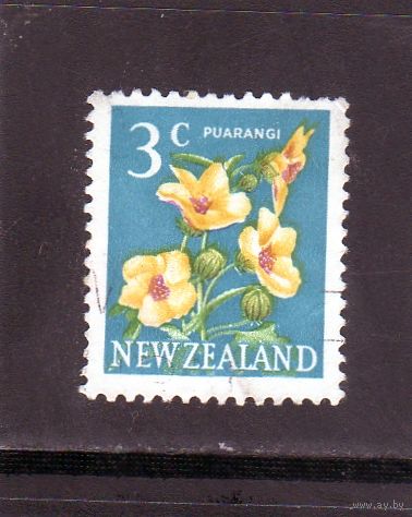 Новая Зеландия.Ми-460. Венеция Маллоу (Hibiscus trionum) Пуаранги. 1967.