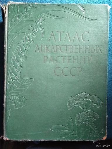 Атлас лекарственных растений СССР.  1962 год. Очень большой формат!