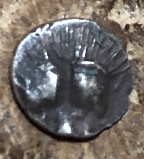 Пантикапей. 470- 460 год до н.э. Серебро Диобол, 0,13 гр.5,5 мм