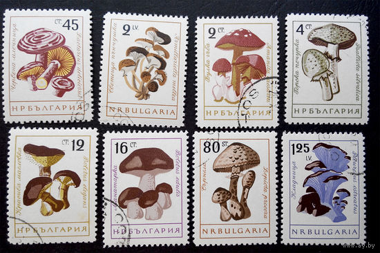 Болгария 1961 г. Грибы. Флора, полная серия из 8 марок #0126-Ф1